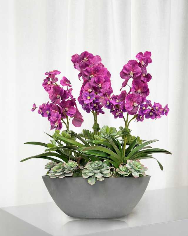 Vanda Orchid in Oval Planter, 30.5"